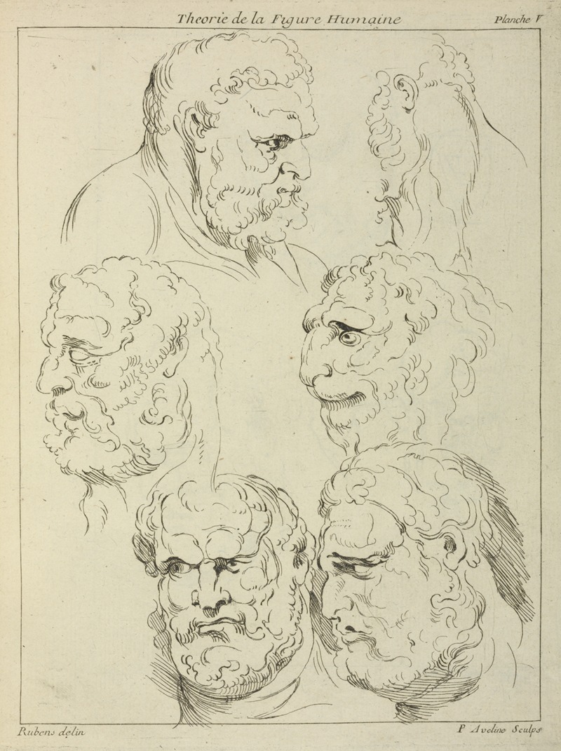 This artwork features studies of a bearded man and a creature by Peter Paul Rubens.