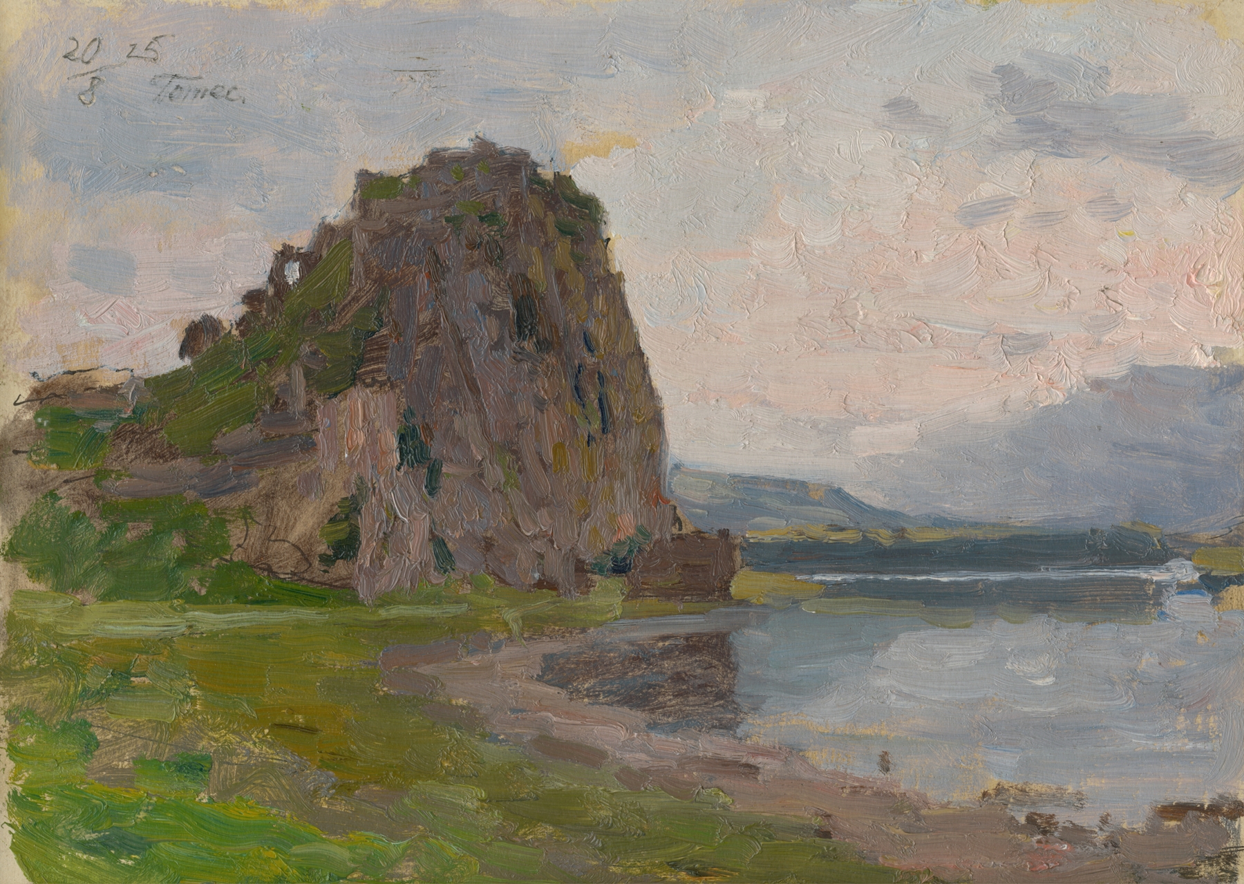 Landscape study by Jindřich Tomec, featuring earthy tones and nature's resilience, medium unknown.