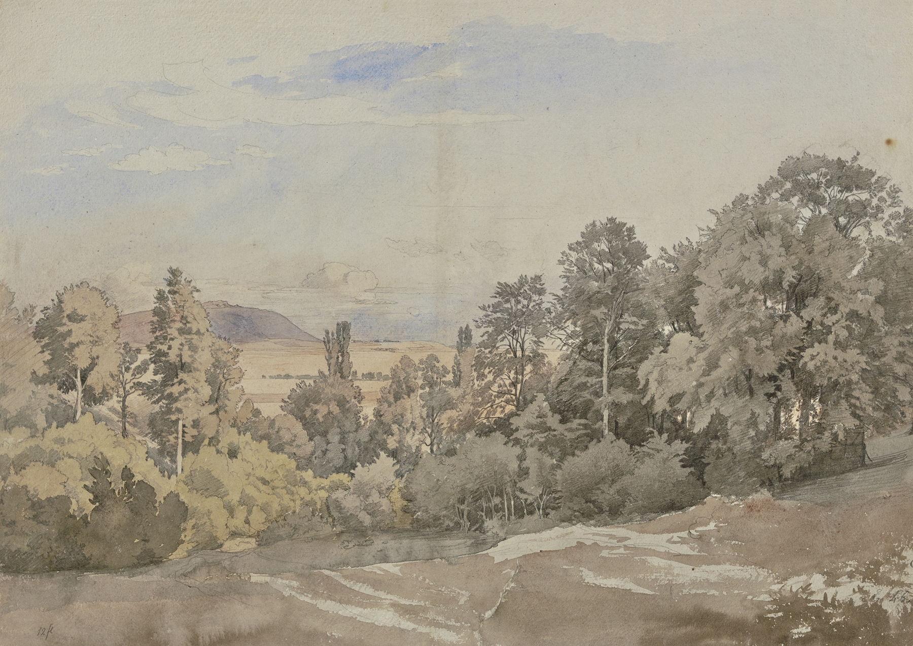 Forest with distant view, by Johann Wilhelm Schirmer, public domain