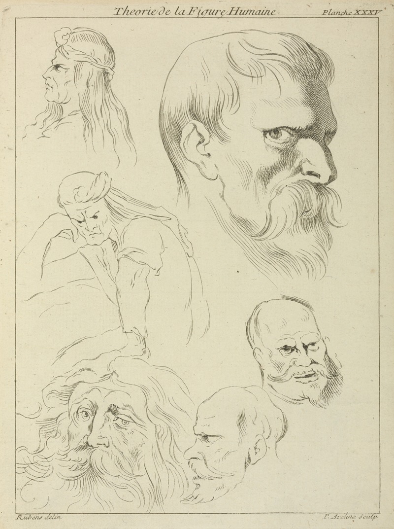 This artwork features five studies of men's heads with various hairstyles and facial hair.