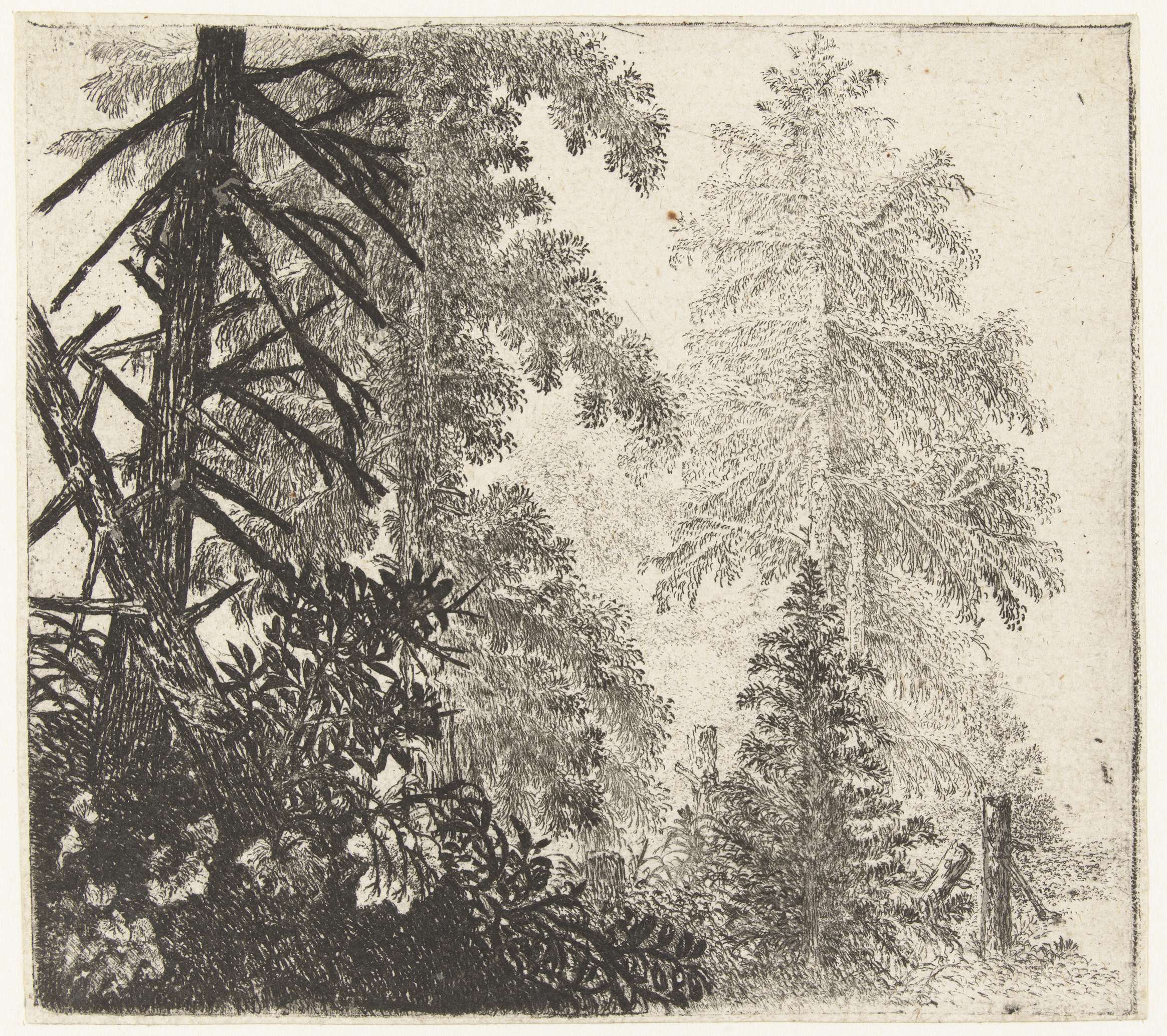 Landscape with two evergreens, etching by Jan van Brosterhuyzen