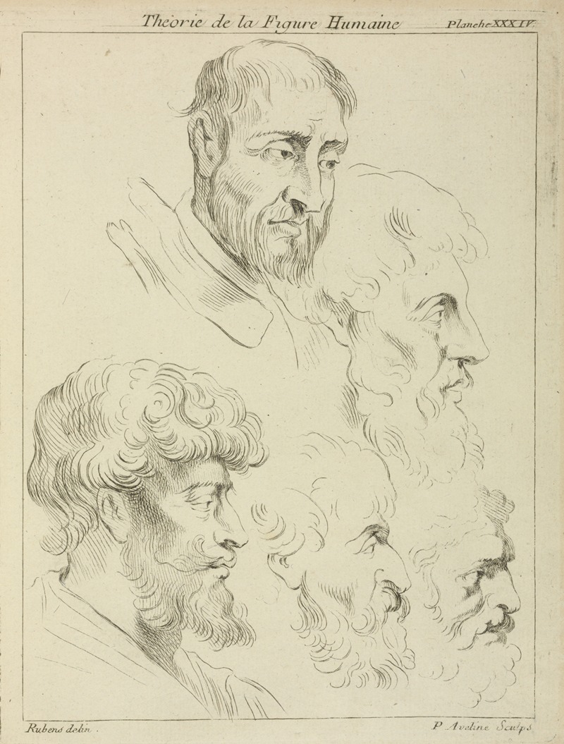 Peter Paul Rubens' 'Five studies of men’s heads, four in profile' showcases detailed head studies.