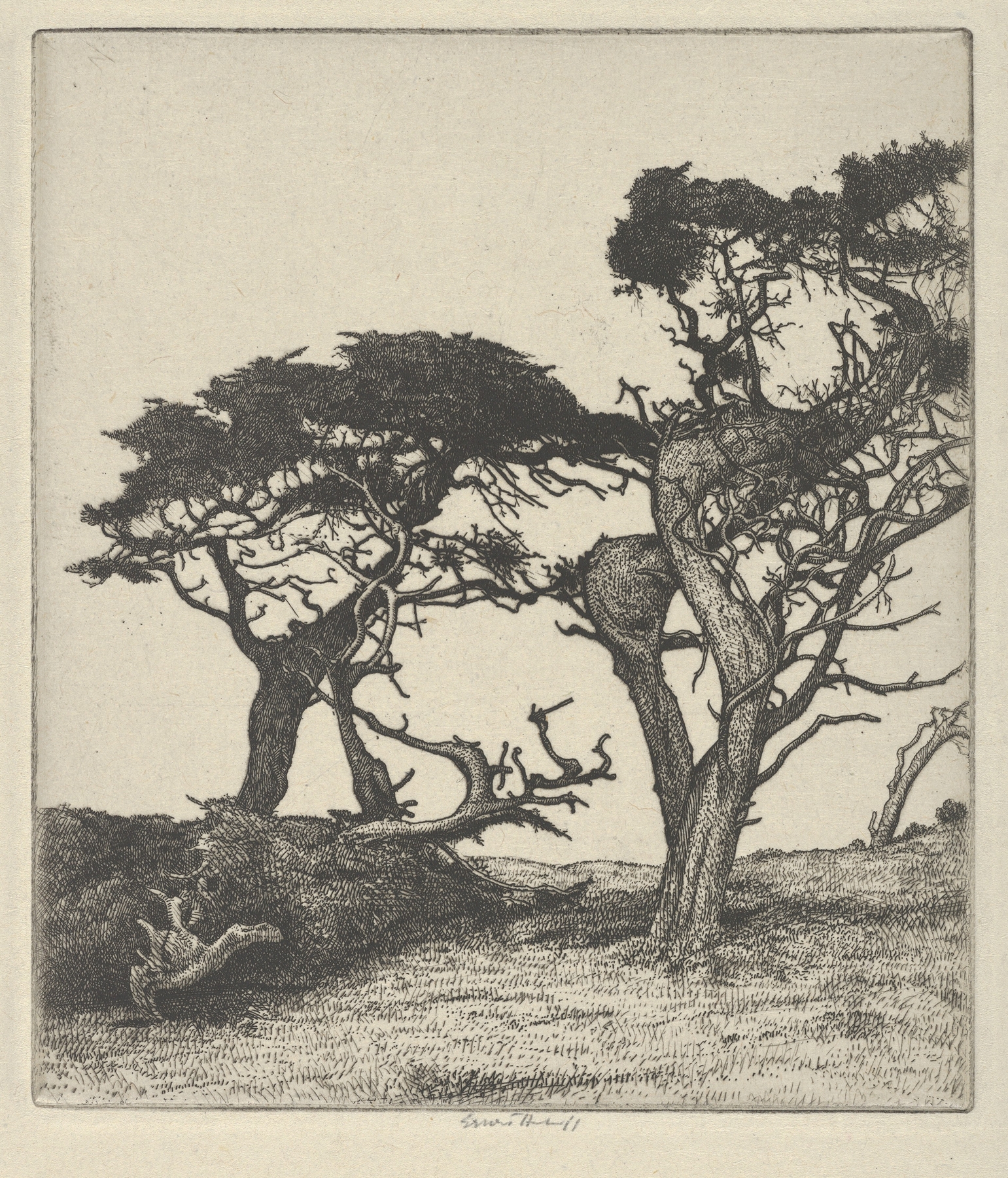 Fragments of the Ostrich by Ernest Haskell, watercolor on paper, depicting fragmented ostrich pieces.