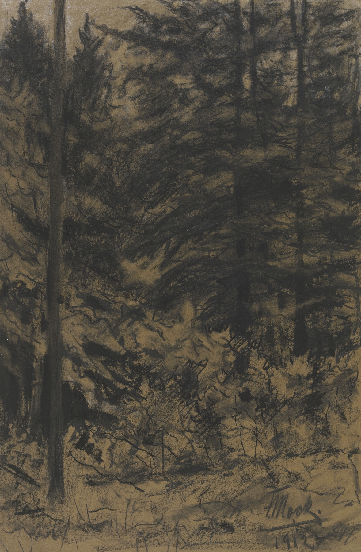 Fir trees in oil on canvas by Friedrich Mook