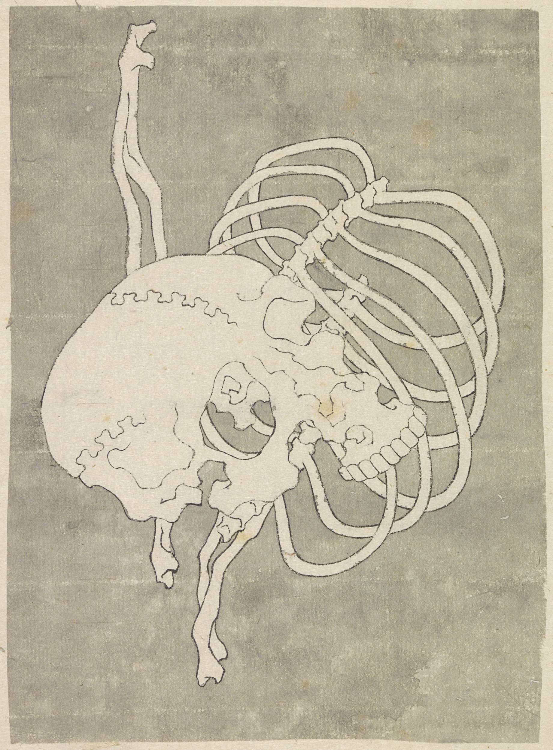 Still life with a skull and ribcage by Katsushika Hokusai, Ukiyo-e
