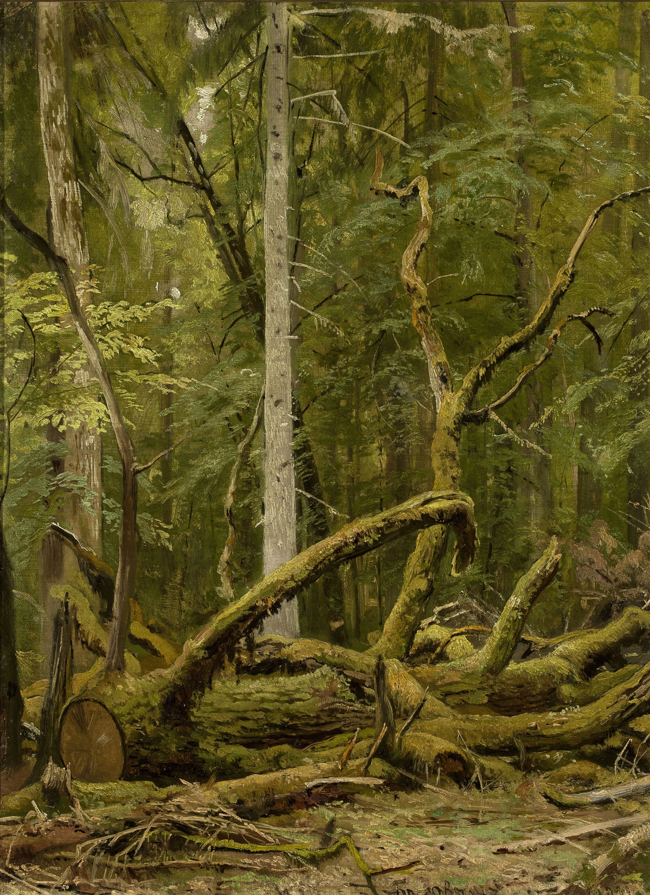 Cut down oak by Ivan Ivanovich Shishkin, oil on canvas depicting a felled tree in a forest.
