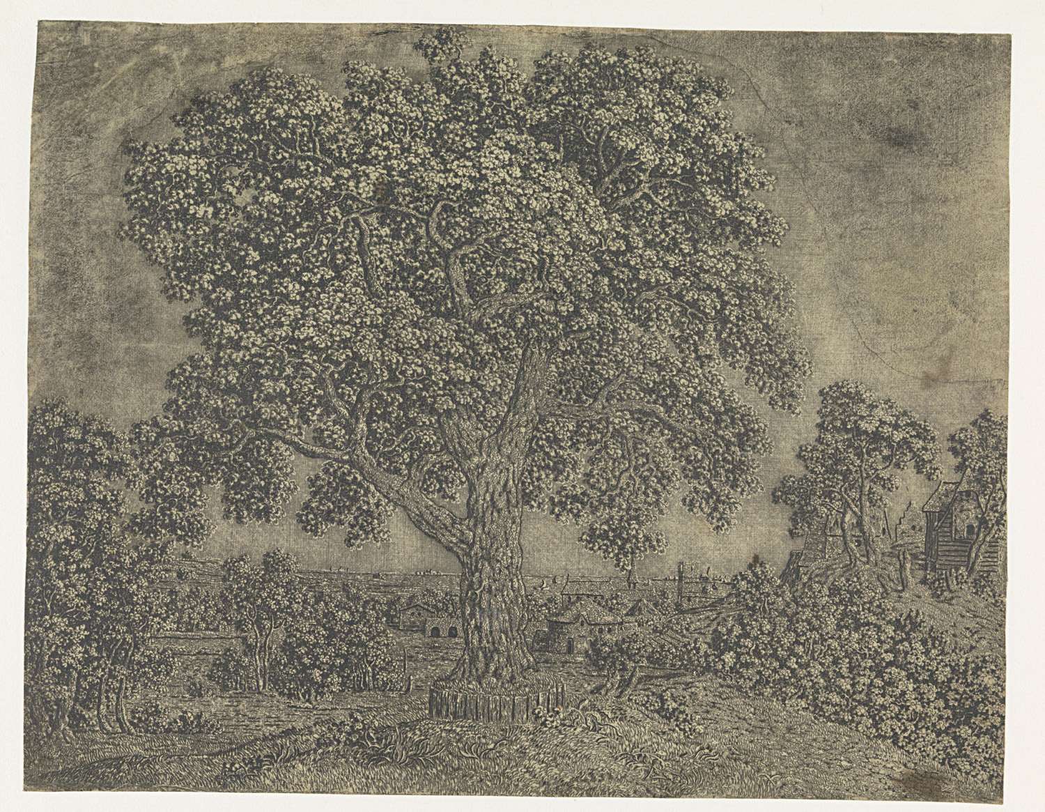 The Large Tree, by Hercules Segers, public domain