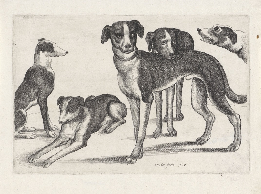A detailed depiction of five hounds in various poses.