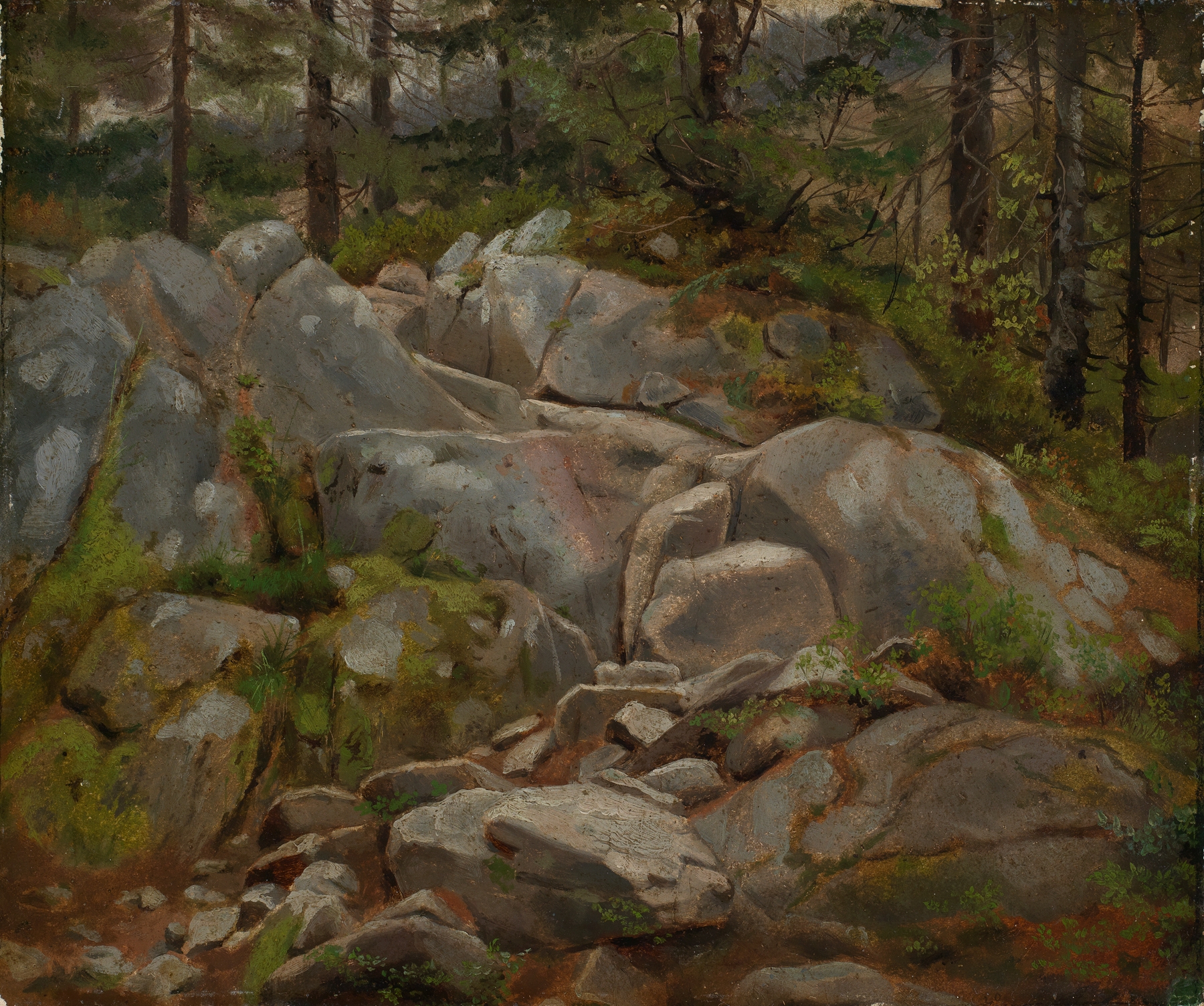 Felsblöcke mit Tannenstämmen by Hans Thoma, oil on canvas depicting boulders and trees.