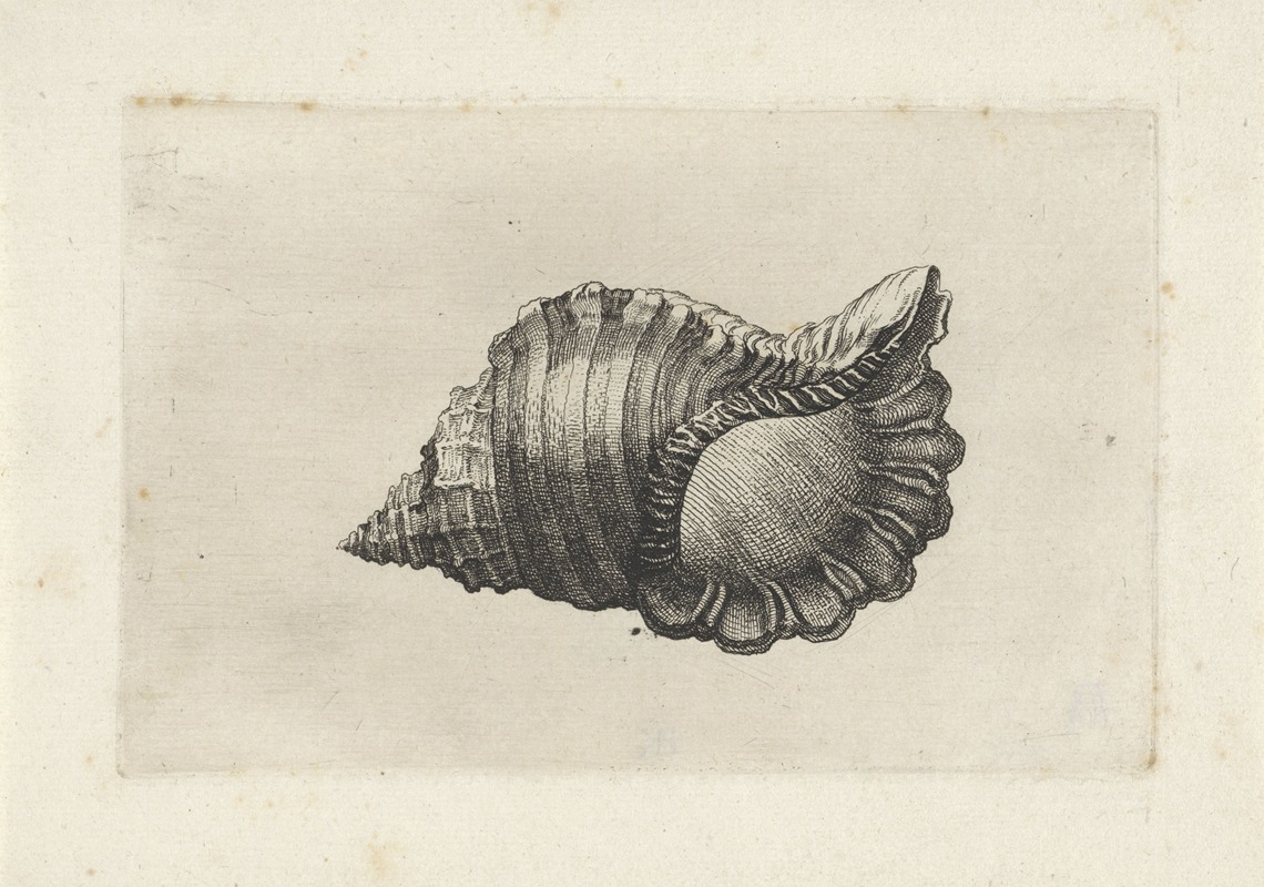 A detailed etching of a Neapolitan triton by Wenceslaus Hollar.