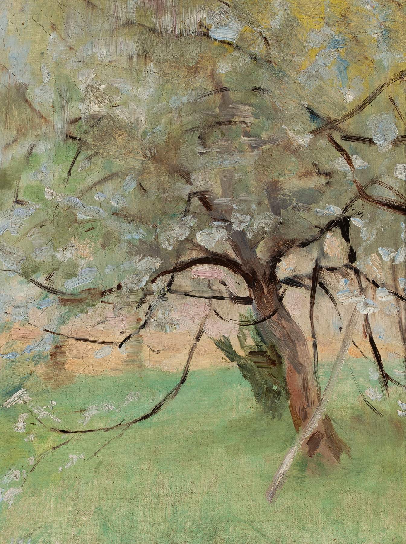 Apple tree by Jan Ciągliński, oil painting depicting branches and ripe fruit.