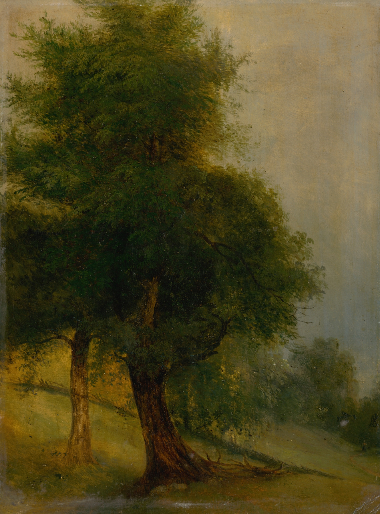 Trees on a slope, oil on canvas by Jozef Božetech Klemens