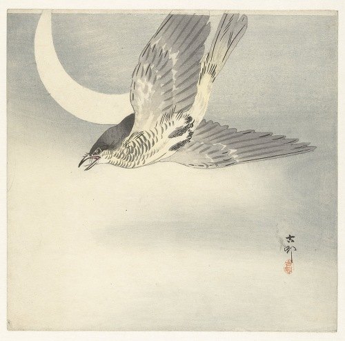 A beautiful woodblock print featuring a cuckoo bird under a crescent moon.