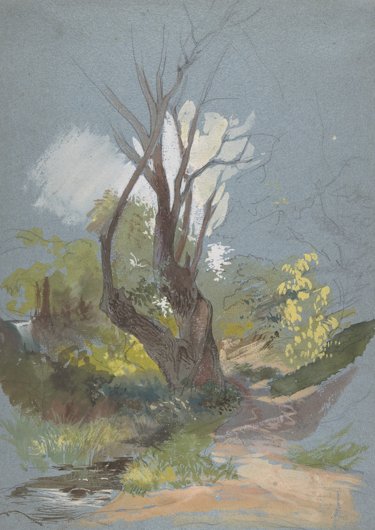 Mountain Path with a Tree, by Friedrich von Nerly, public domain