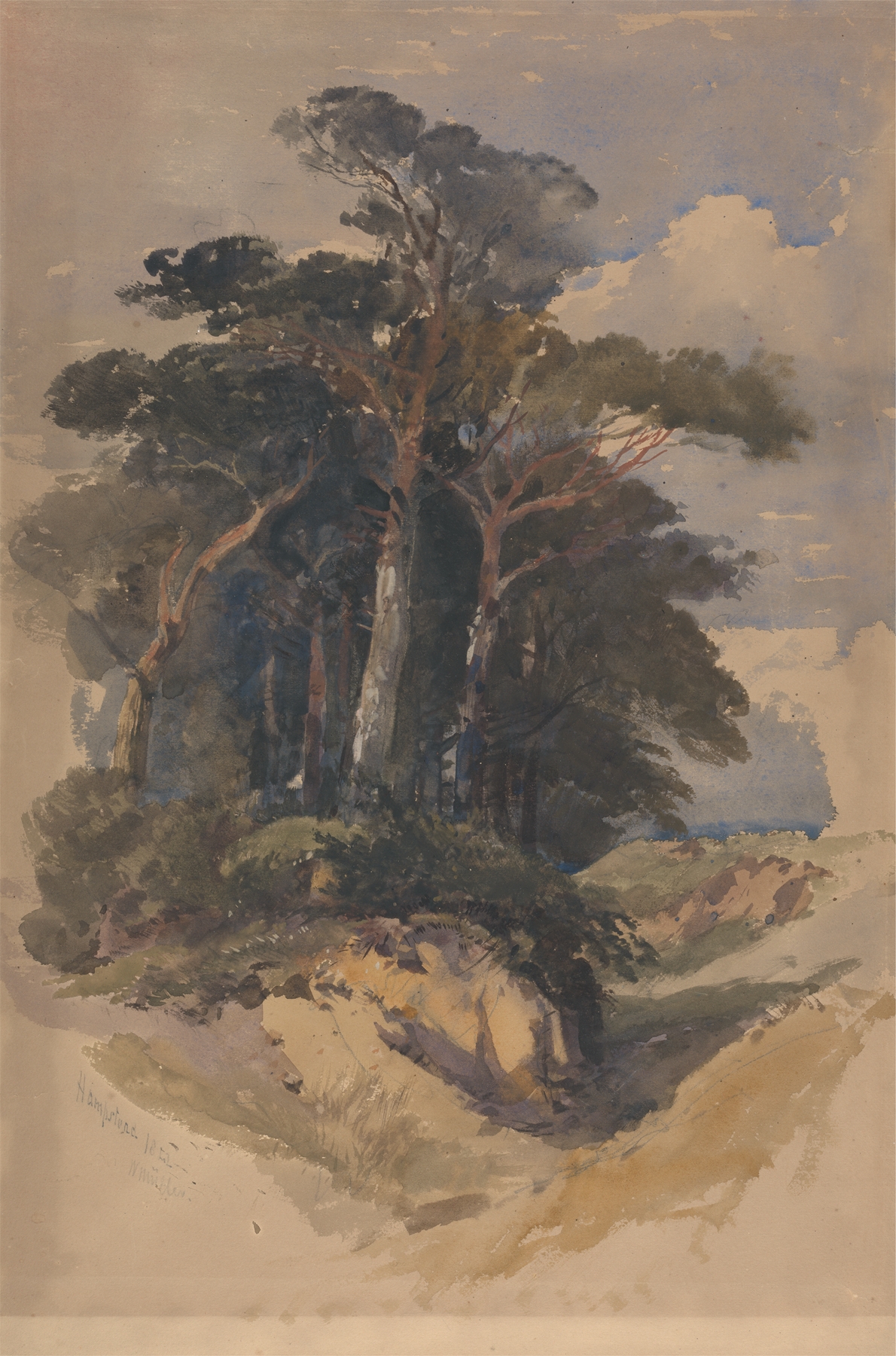 Pines on Hampstead Heath, oil on canvas by William James Müller