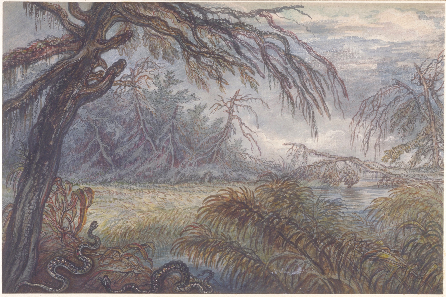 Forest and Swamp by Raphael Lamar West, oil on canvas, depicting dark trees and dappled light