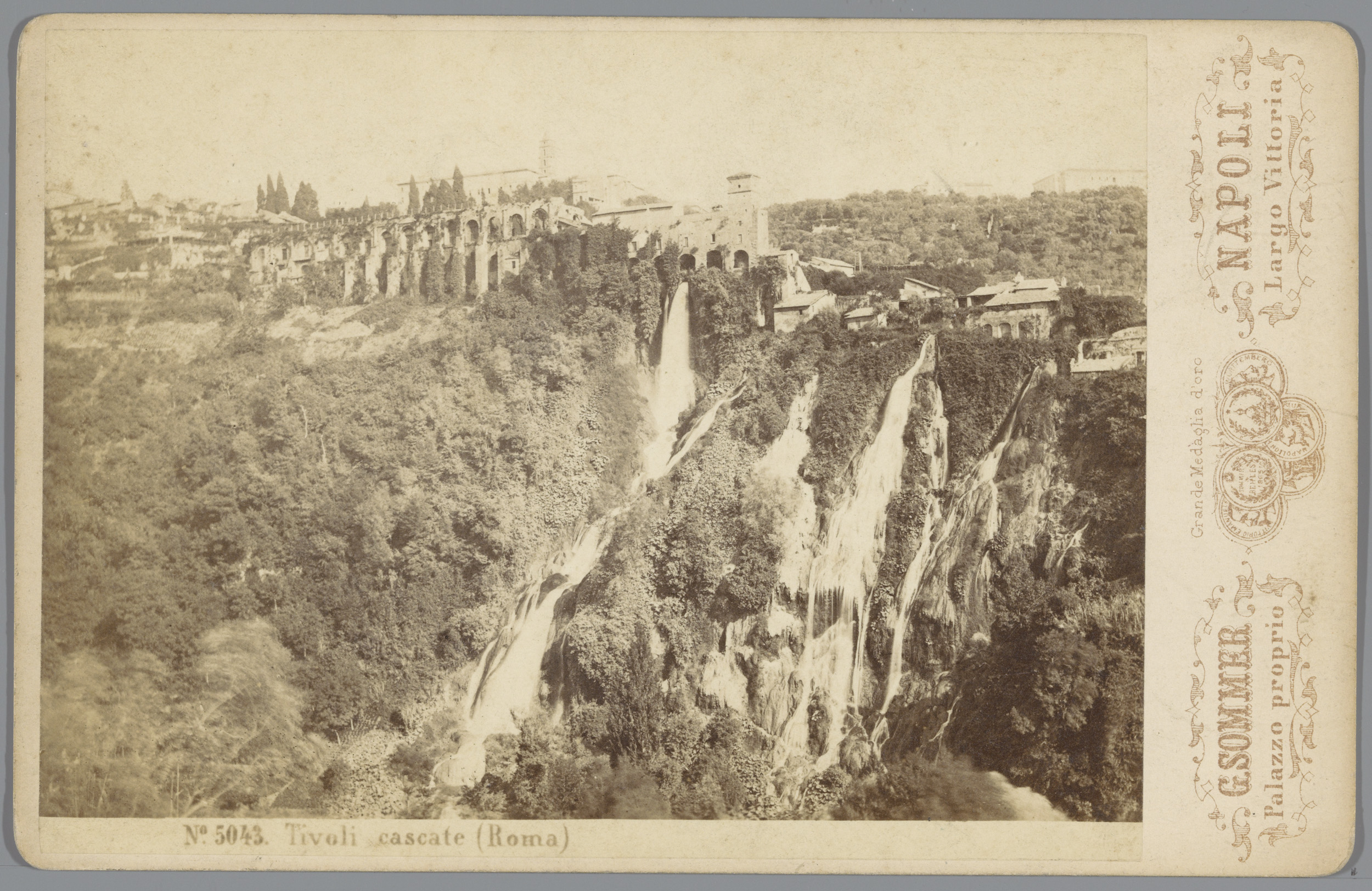 Waterfall landscape captured in albumen print by Giorgio Sommer