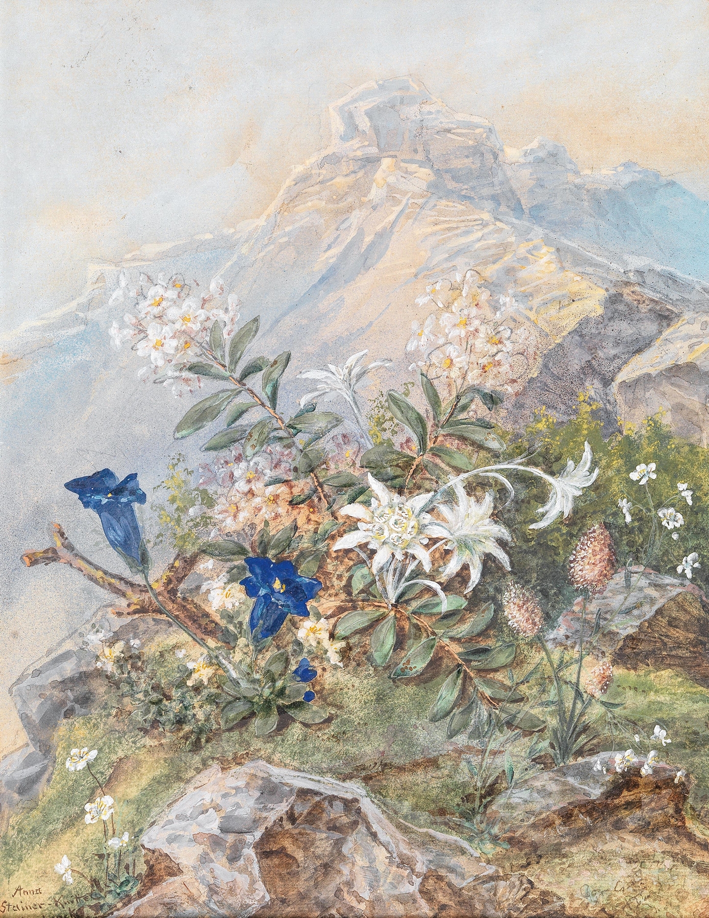 Botanical scene with blue and white flowers by Anna Stainer-Knittel
