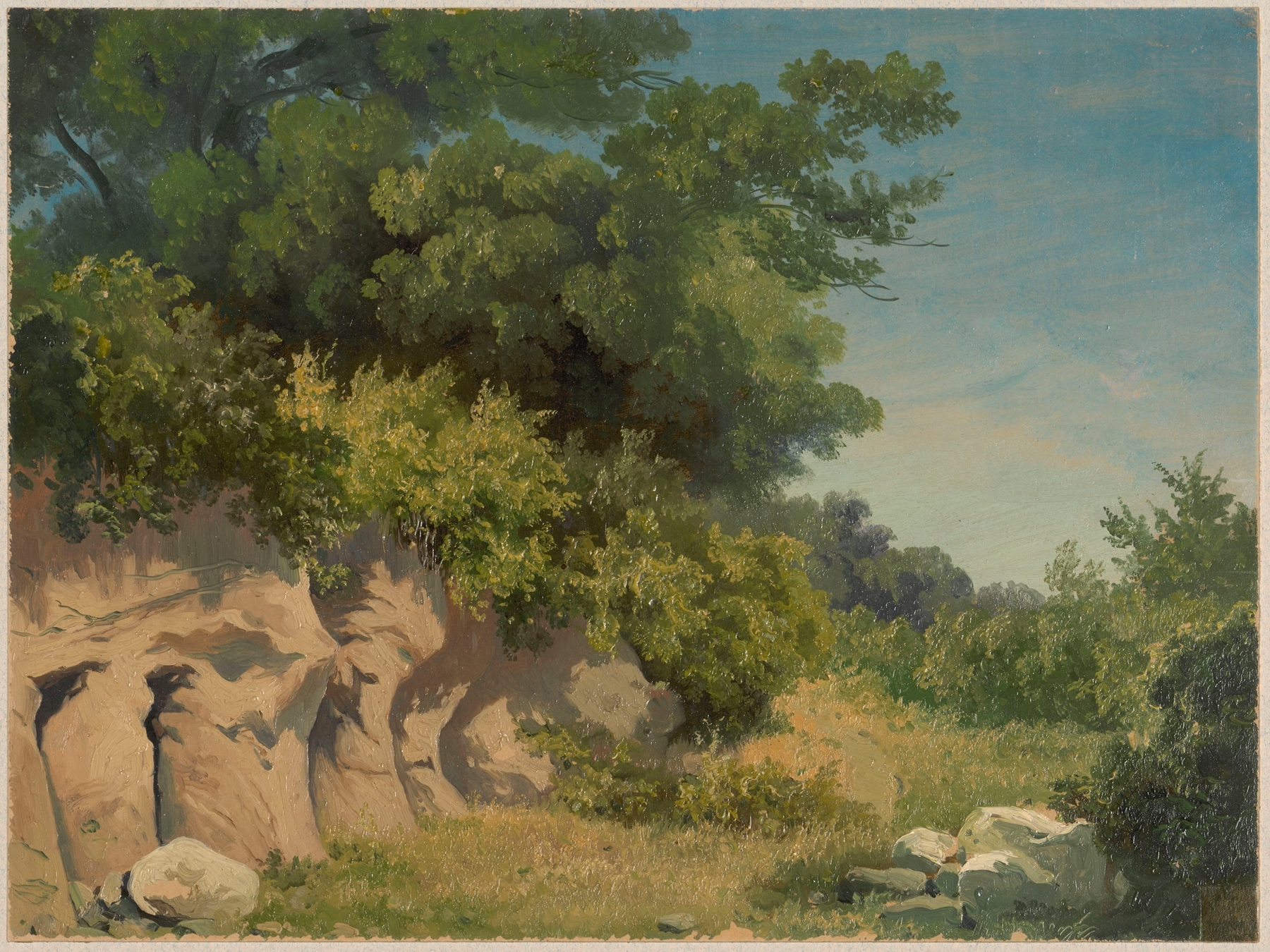 Cliff overgrown with trees, by Arthur Blaschnik, public domain