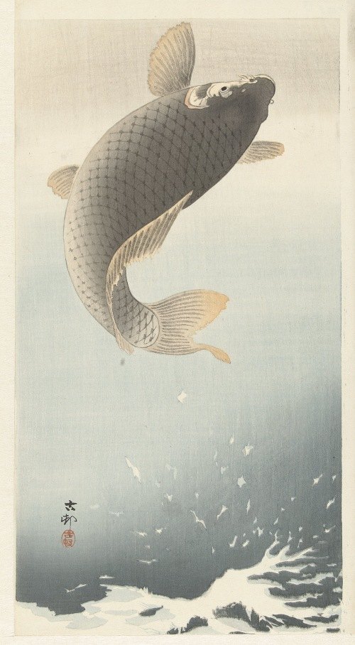 A traditional Japanese woodblock print depicting a carp swimming in water.