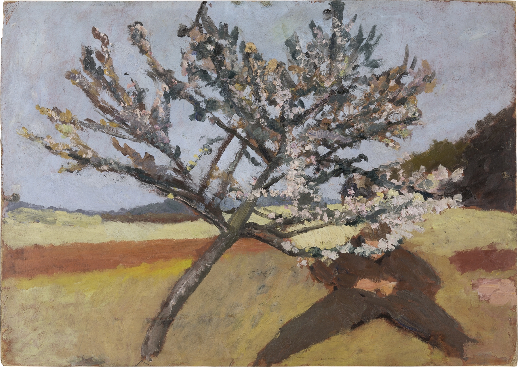 Man lying beneath a Blossoming Tree, by Paula Modersohn-Becker, public domain