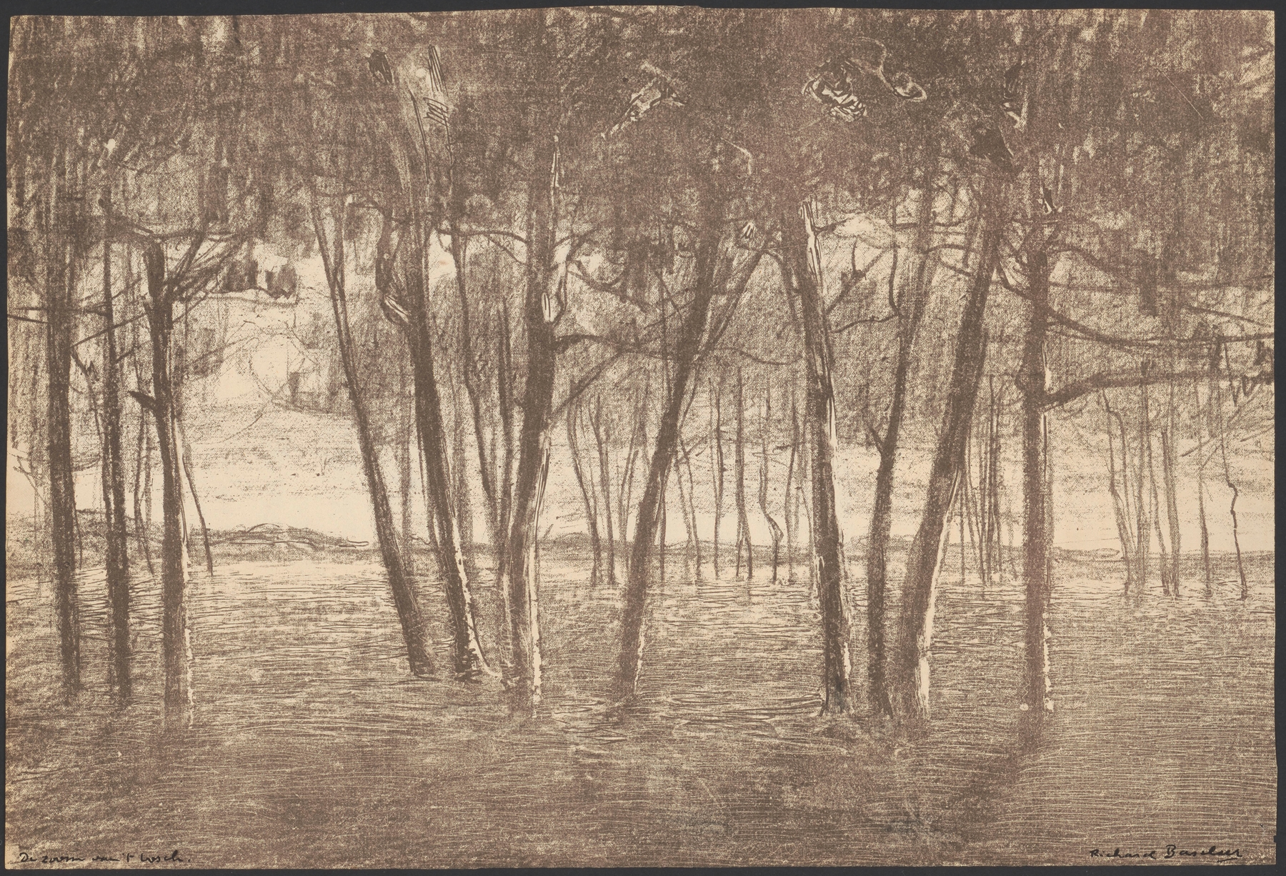 Landscape featuring forest foliage and interplay of light and shadow by Richard Baseleer