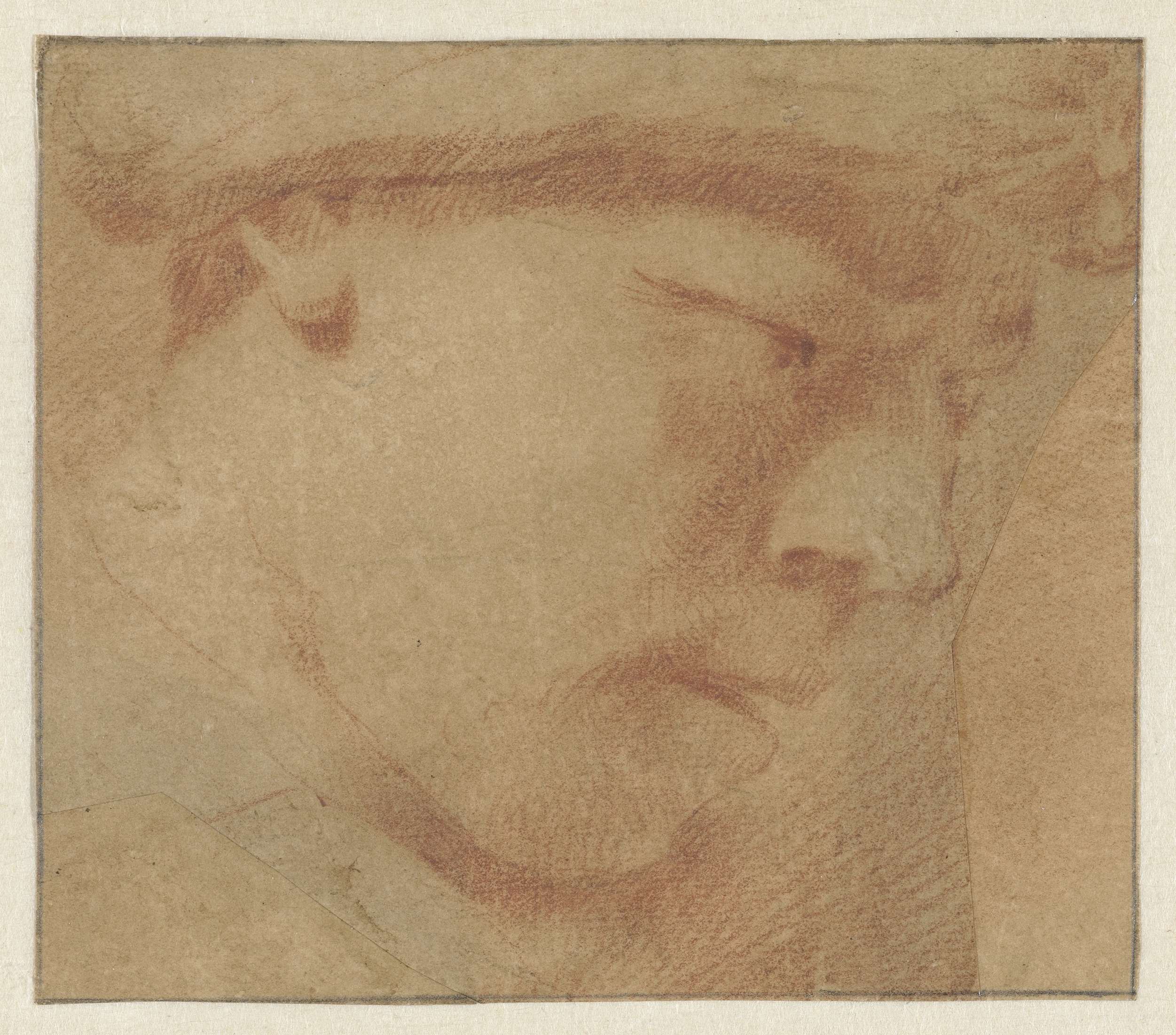 Portrait of a boy in paper by Leendert van der Cooghen