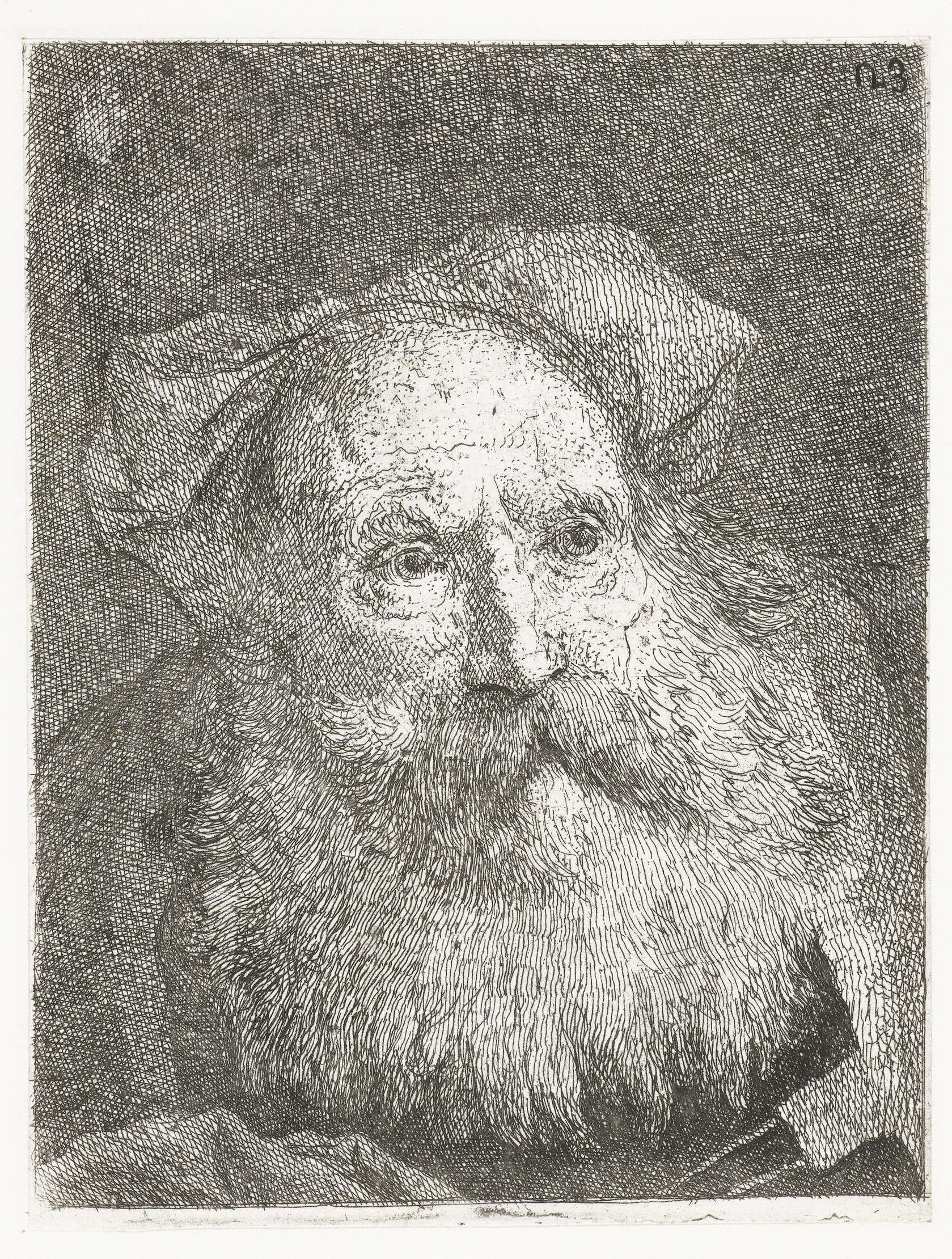 Oude man met baard, by Giovanni Domenico Tiepolo, public domain