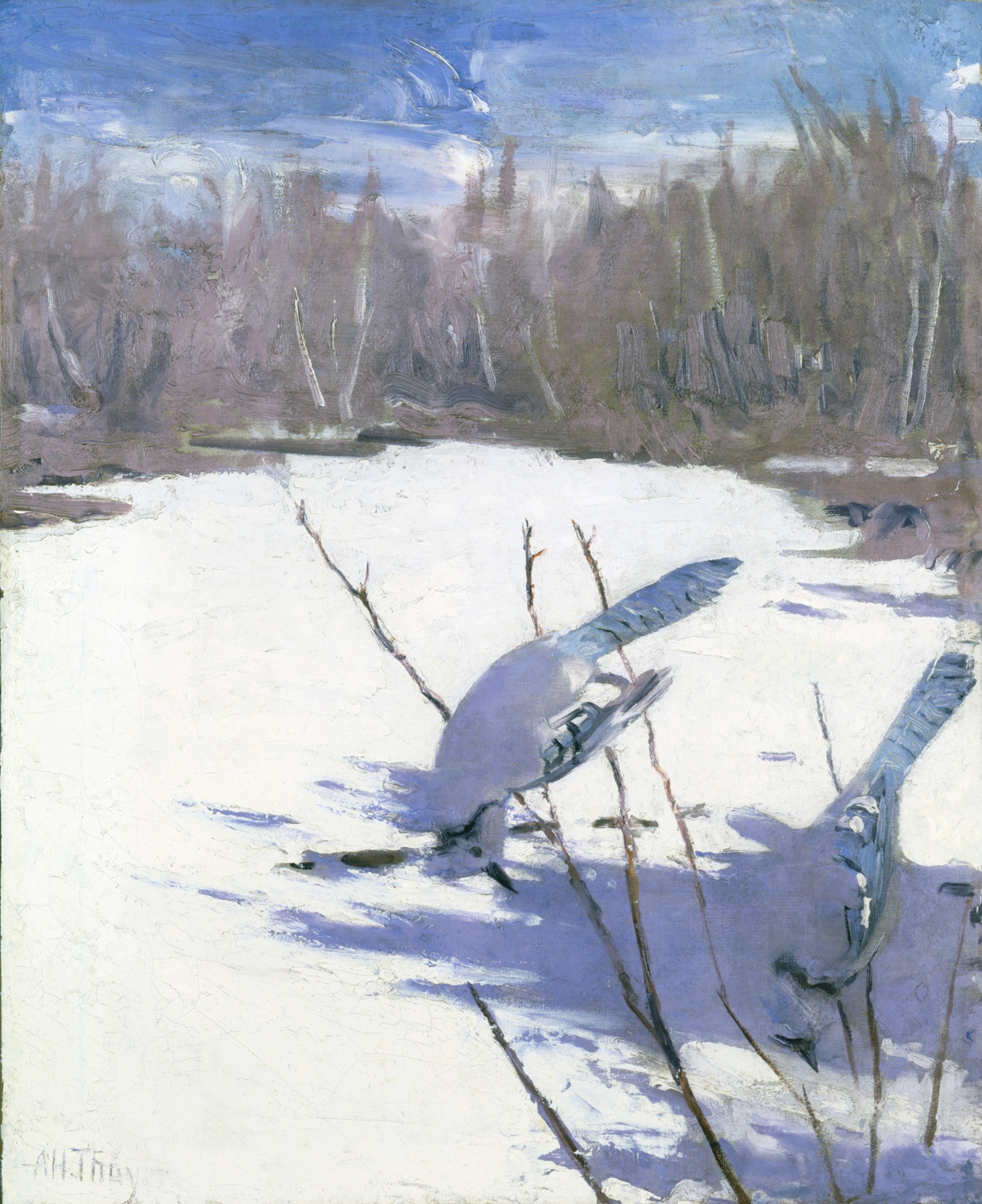 Blue Jays In Winter, oil on canvas by Abbott Handerson Thayer, depicting a blue jay in winter scenery.