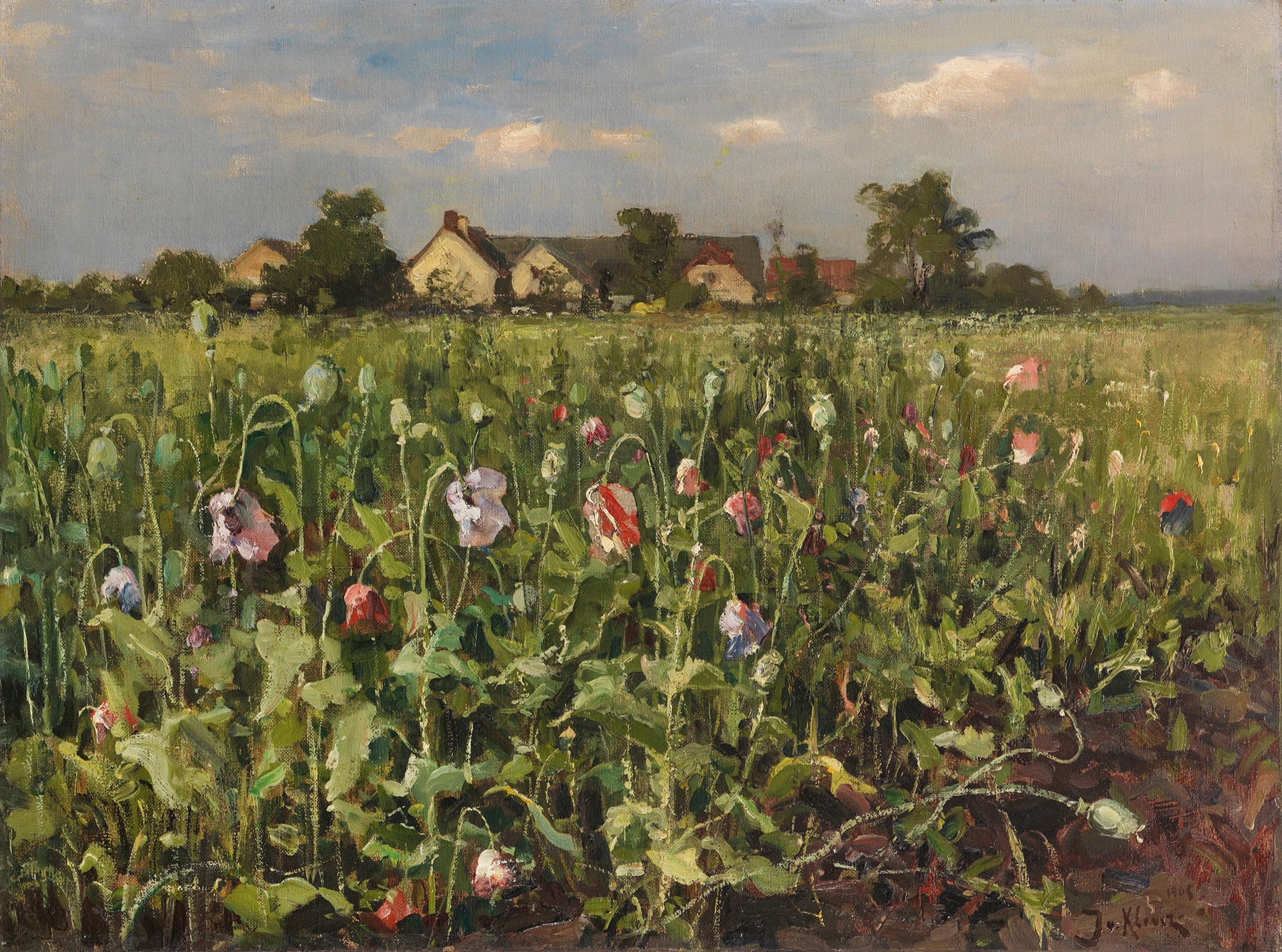 Blühender Mohn, by Julius Sergius Klever, public domain