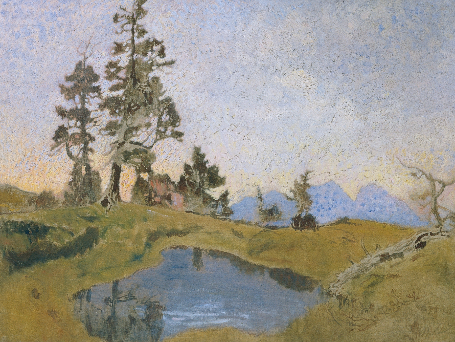 Landscape of pine forest with dappled light by Alois Penz, oil painting