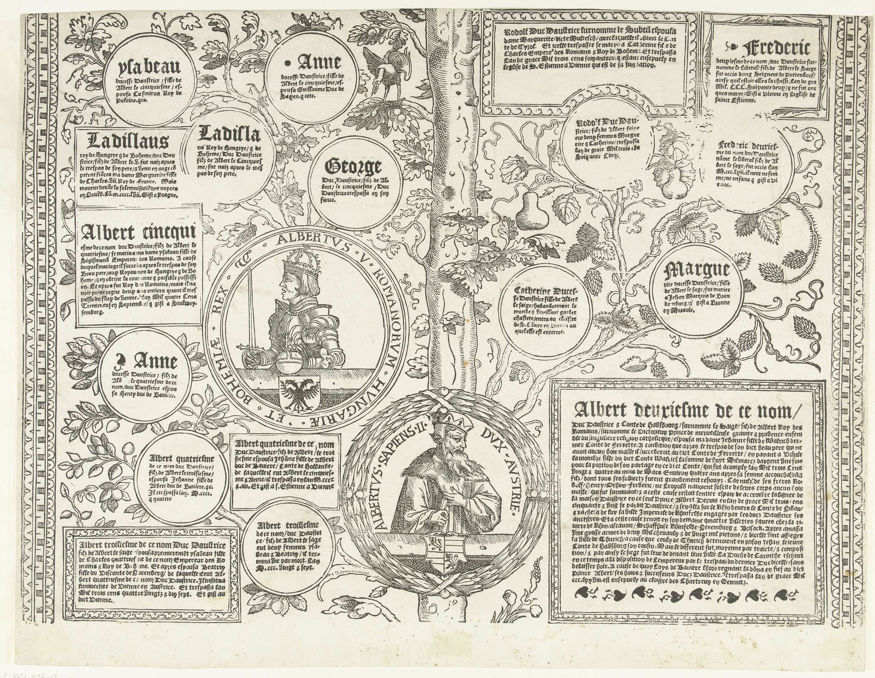 Genealogical tree of the Habsburg family, paper, Robert Péril