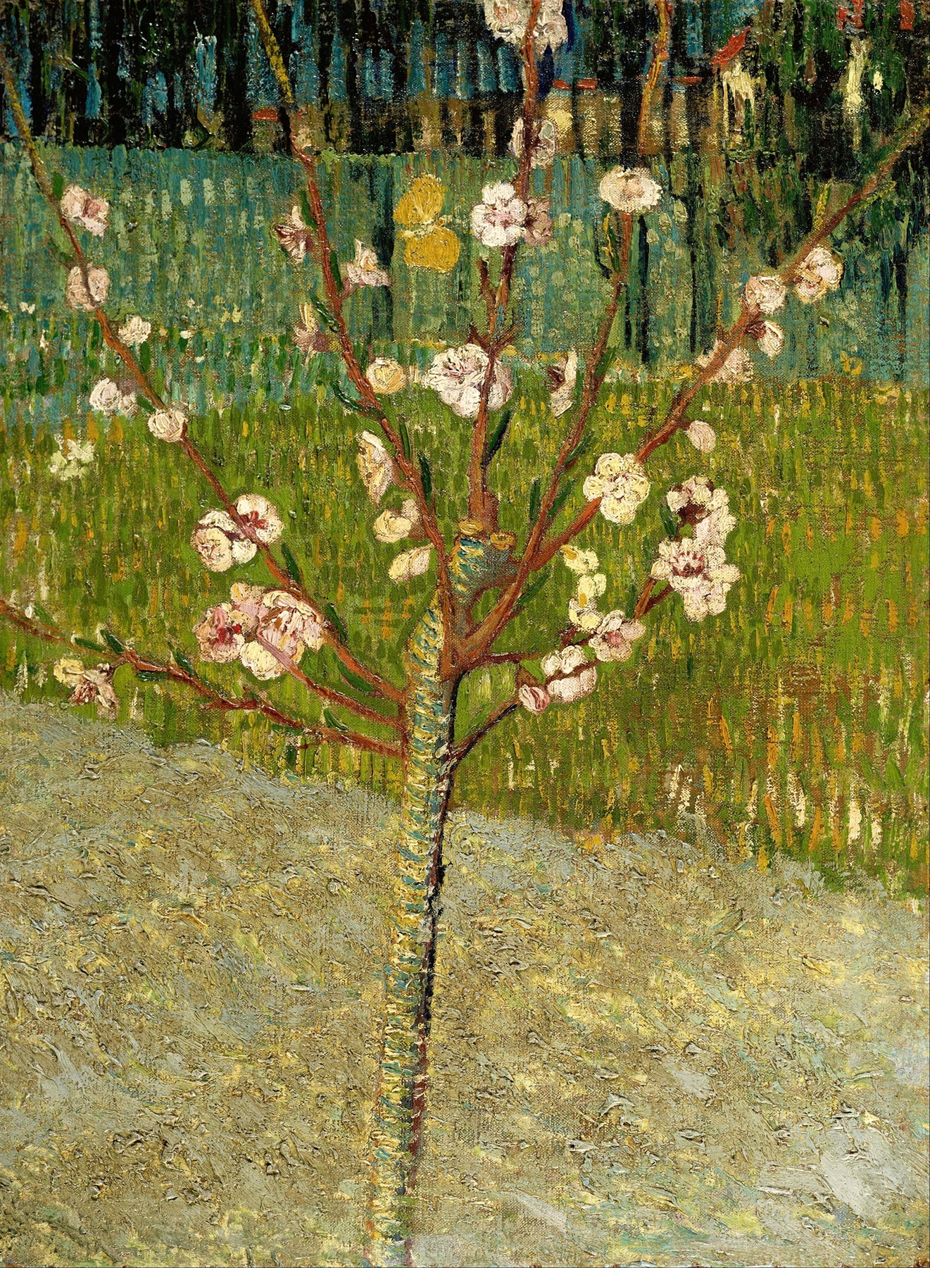 Almond tree in blossom, by Vincent van Gogh, public domain