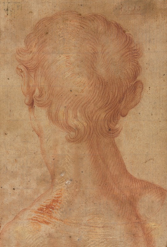 Agnolo Bronzino's 'Man’s Head from the Back' features a striking profile view.