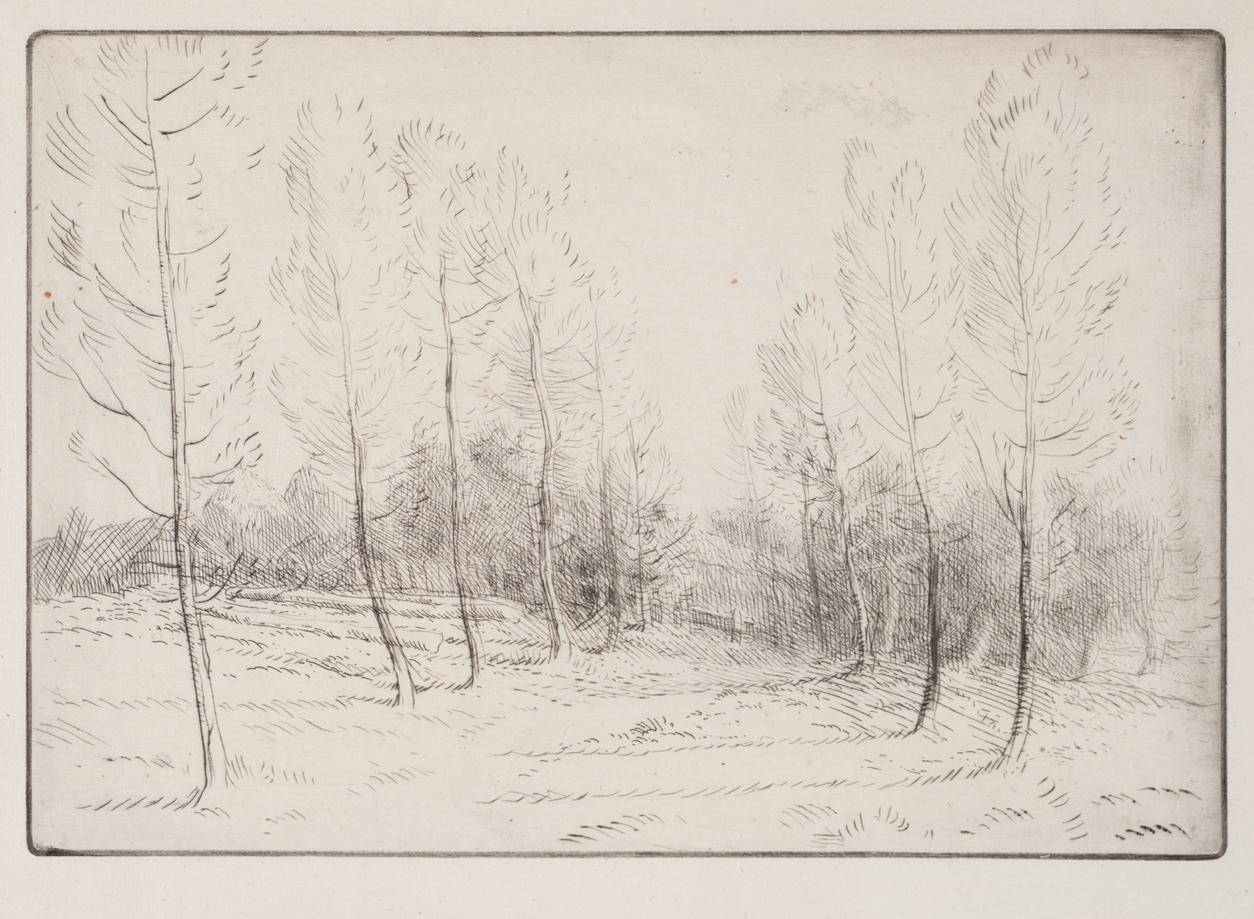 Avenue of Poplars, by Alphonse Legros, public domain