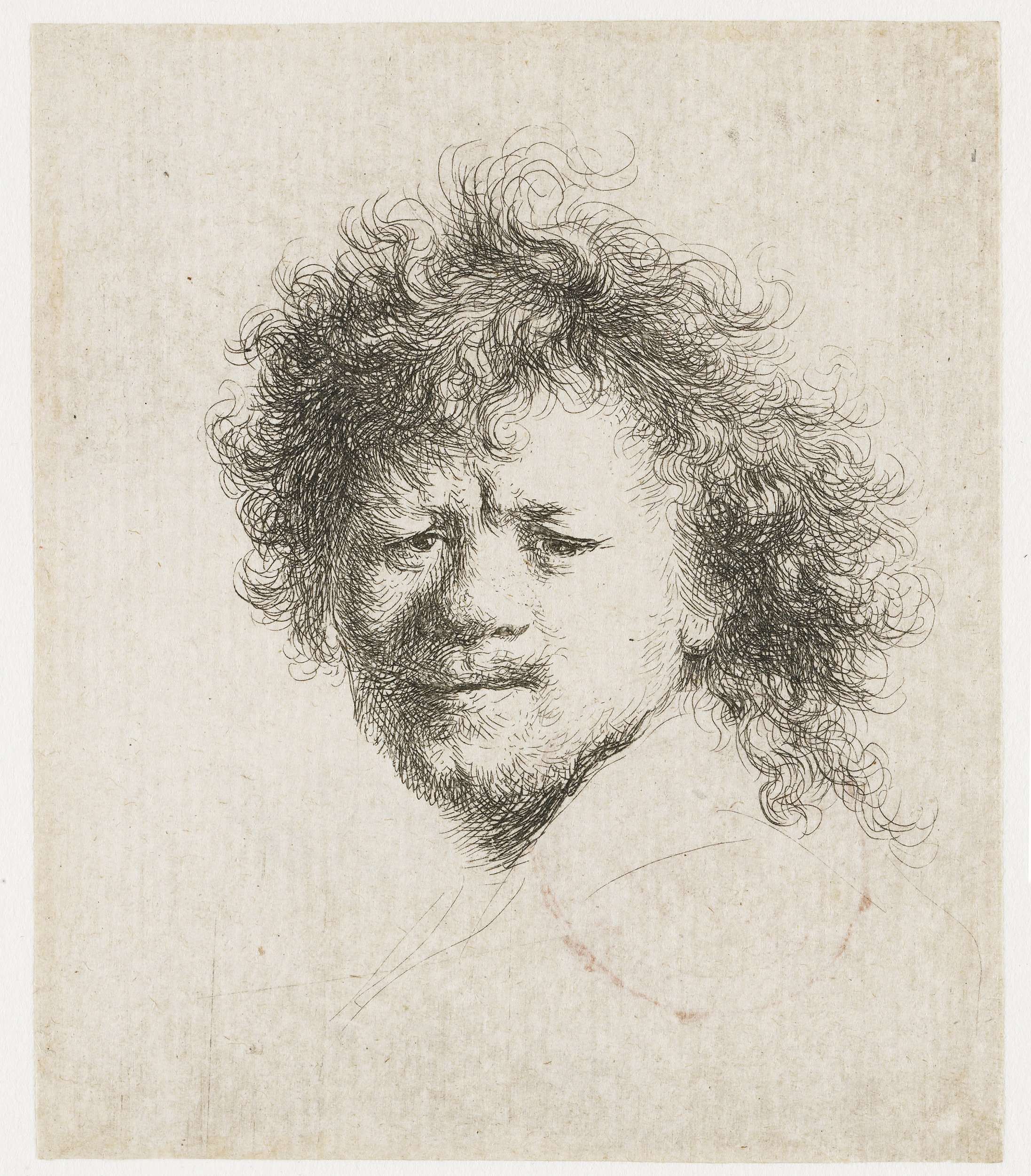 Self-portrait with Long, Bushy Hair, by Rembrandt van Rijn, public domain