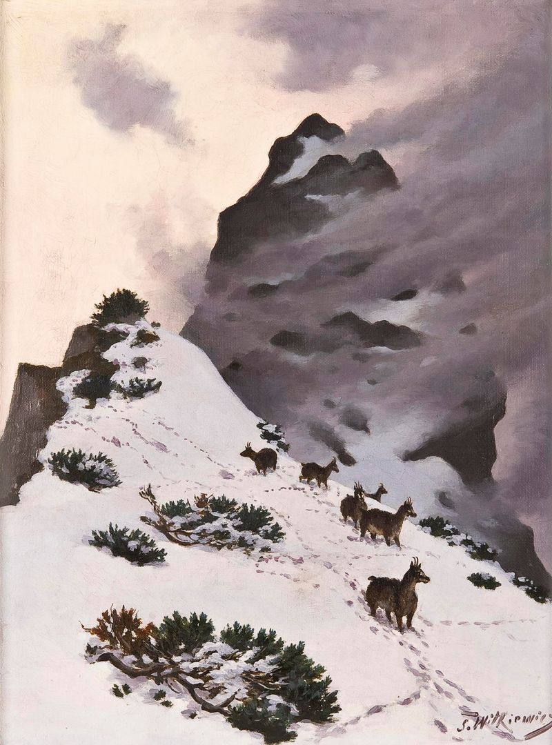 Chamois em um penhasco rochoso, óleo sobre tela de Stanisław Witkiewicz