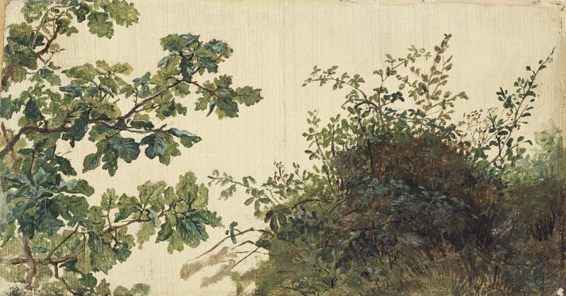 Study of Vegetation by Kilian Zoll, watercolor on paper depicting lush greenery and shadows.