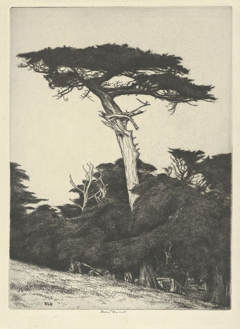 Dryad’s Parasol, acuarela sobre papel de Ernest Haskell, con una figura etérea sosteniendo un parasol.