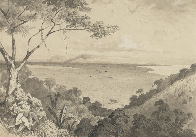 Landscape view from Laventille Hill, oil painting by Michel Jean Cazabon