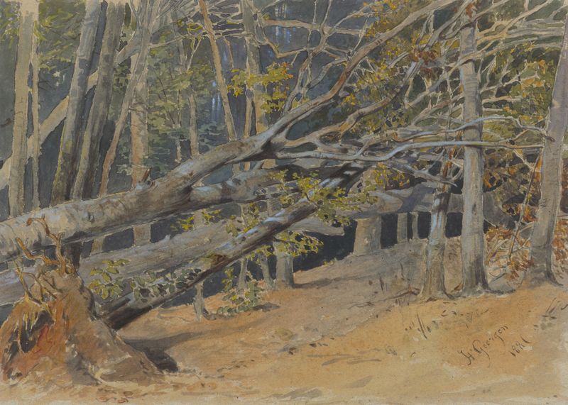 Study of Cut Down Trees, oil on canvas by Friedrich Carl von Scheidlin