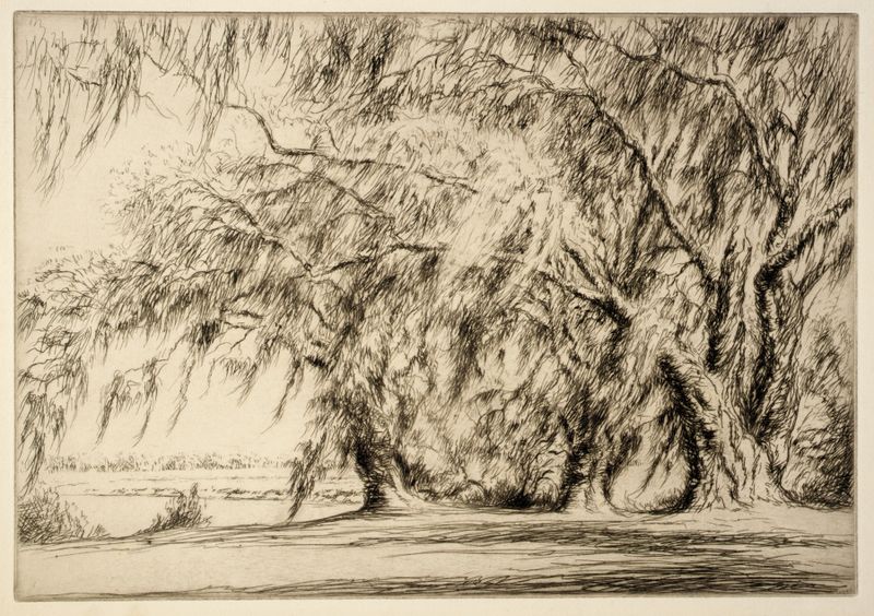 Gravura de Kerr Eby retratando um carvalho e musgo em uma paisagem serena