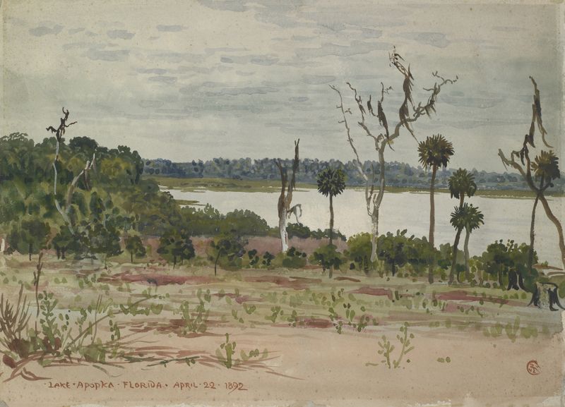 Lake Apopka, Florida, watercolor on paper by Walter Crane