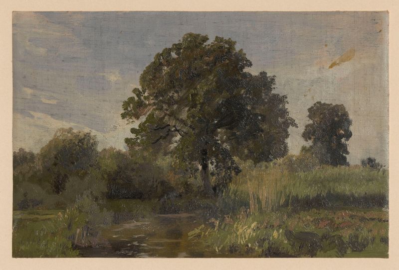 Scrub and trees by the River Barycz, óleo sobre tela de Adolf Dressler