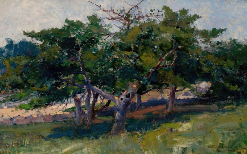 Paisaje con Árboles de Arthur Cumming, impresionismo, representando luz filtrándose a través de árboles