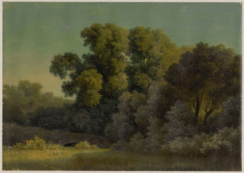 Paisaje con un matorral de árboles, óleo sobre lienzo de Arthur Blaschnik