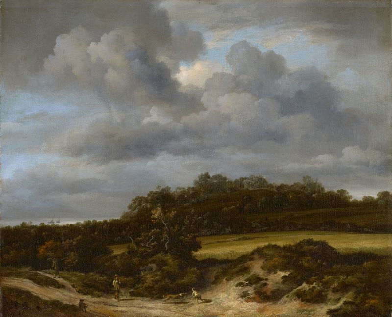 Cornfield de Jacob van Ruisdael, óleo sobre tela retratando um vibrante campo de milho