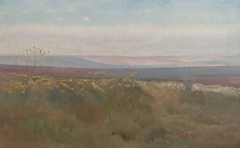 Podolian Landscape de Jozef Chelmonski, óleo sobre lienzo que representa un campo tranquilo al amanecer.