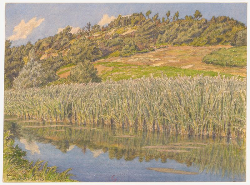 Saint-Lambert-des-Bois de Henri Rivière, que representa un paisaje vibrante con vegetación.