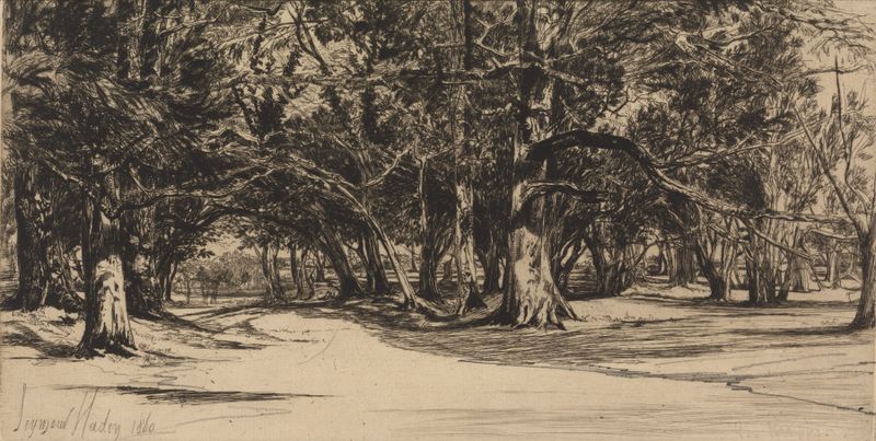 Paisagem com um caminho estreito em A Byroad in Tipperary de Francis Seymour Haden, gravura